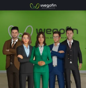 Wegofin Website Image mn web